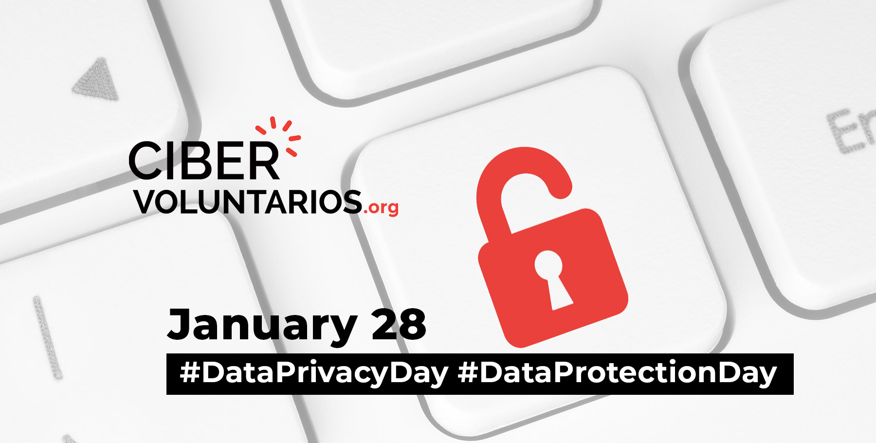 Fundación Cibervoluntarios' global alliances to celebrate Data Privacy Day